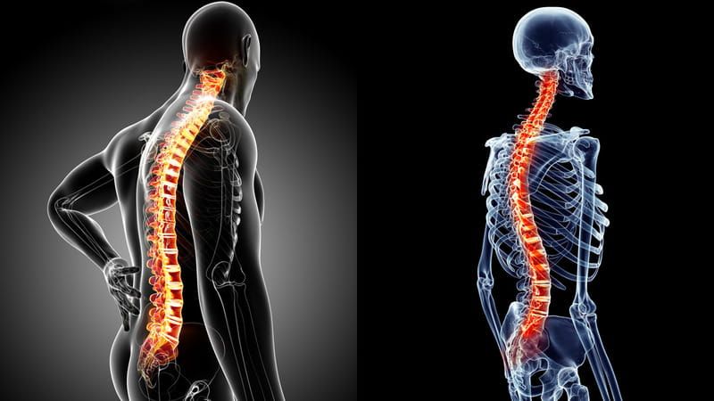 Quy Trình Đánh Giá Chuyên Sâu Tại Bones and Beyond